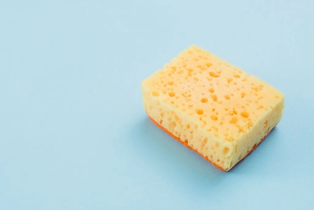 scale_2400.jpg